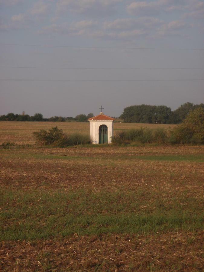Penzion U Malera Hroznova Lhota Exterior foto
